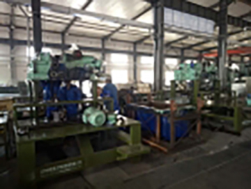 TD Type Hydrogenation Process Pump