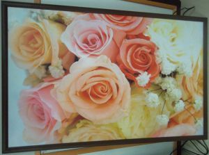 Infrared Heating Panel for Home Appliance