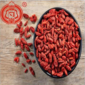 Le fruit rouge séché de baie de Goji