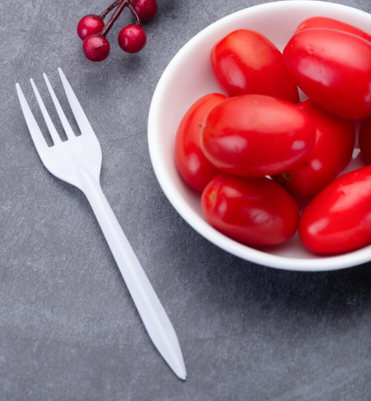 Fast Food Plastic Fork