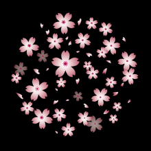 Pink Cherry Blossoms Gobo Film Slide for Projector