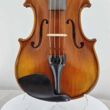 Popular violino maciço de verniz sprite