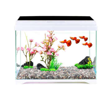 Sunsun Ultra White Glass HE Series Fish Tanks: Enhancing Your Living Room with HE-300, HE-380, and HE-480 Models