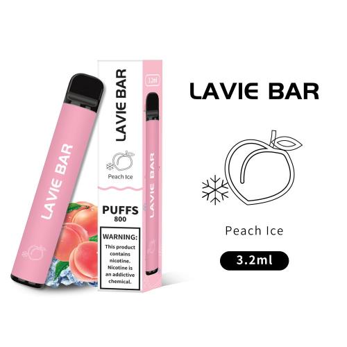 Stylo vape jetable 2 en 1 double saveurs