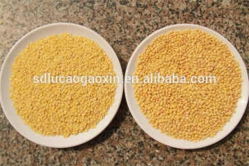 Best sale dry lentil dehulling machine / lentil dehuller processing plant