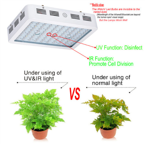 Energy Saving 600W LED Plant Grow Light