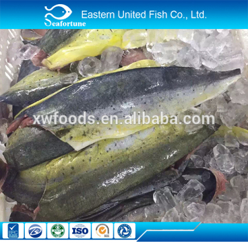 china seafood mahi exports