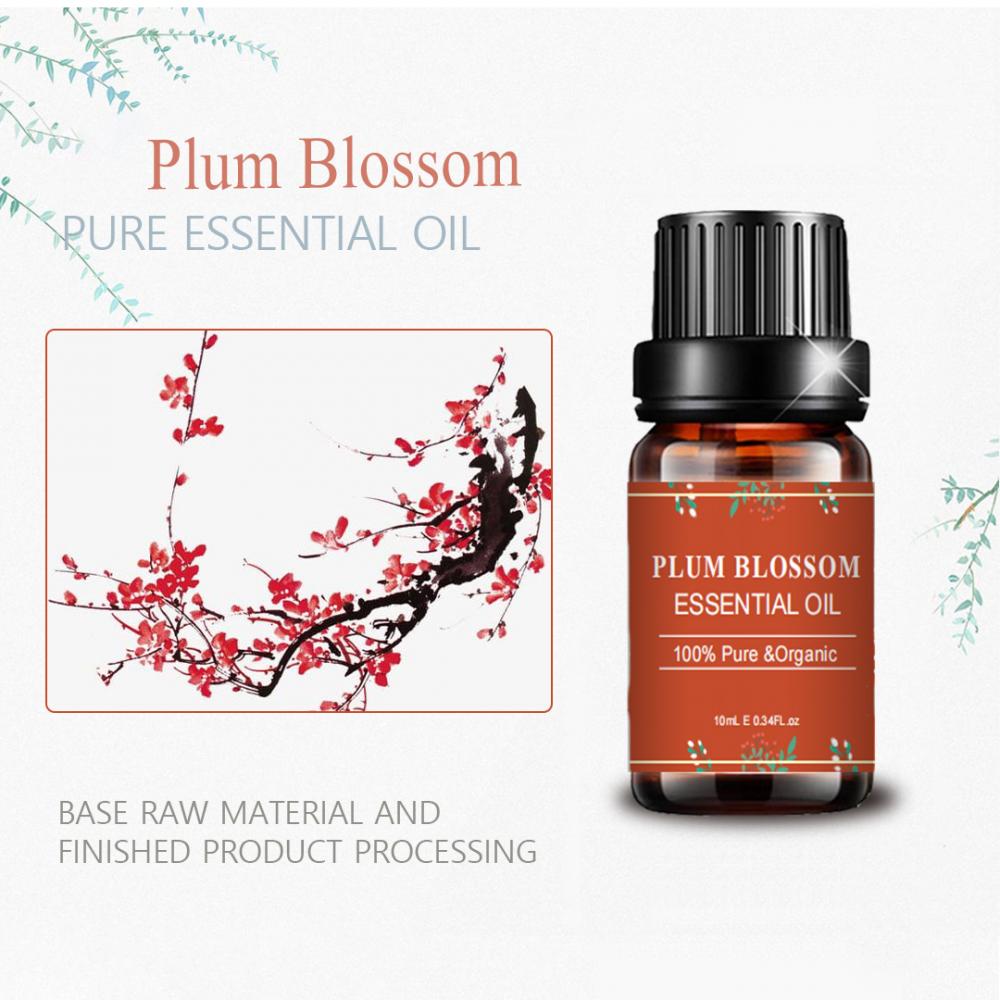 Aroma wewangian diffusers minyak esensial bunga prum bunga