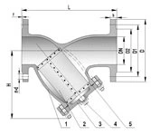 ANSI Y Strainer in Cast Iron with Test Point Drain Plugs on Body