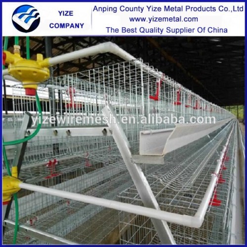 transport cage for poultry/poultry transport cage/uganda poultry farm automatic chicken layer cage