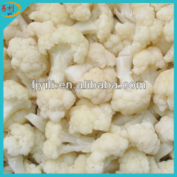 Supply organic frozen cauliflower for sale