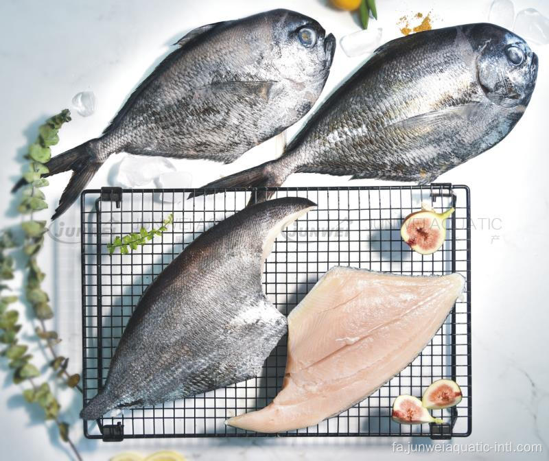 منجمد W/R براما براما