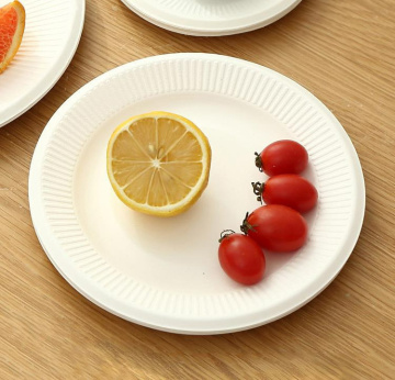 Compostable Sugarcane Bagasse Plate Disposable Dishes Plate