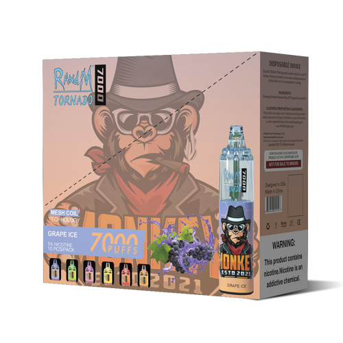 RandM Tornado 7000 Puffs Disposable Vape Wholesale Kit