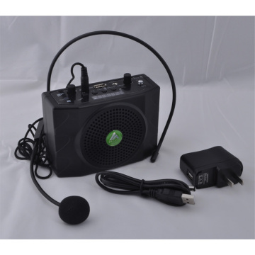 Loudspeaker with FM radio,amplifier