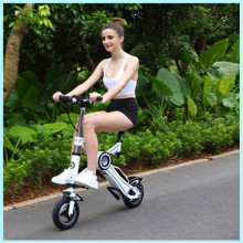 Ce Certificate 5-6h Charging Time Folding Electric E-Bicycle Electric Bike Dirt Bike