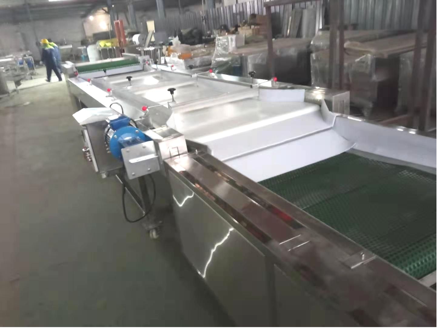 Blueberry Sorting Machine Grading Machine For Blueberry Plant