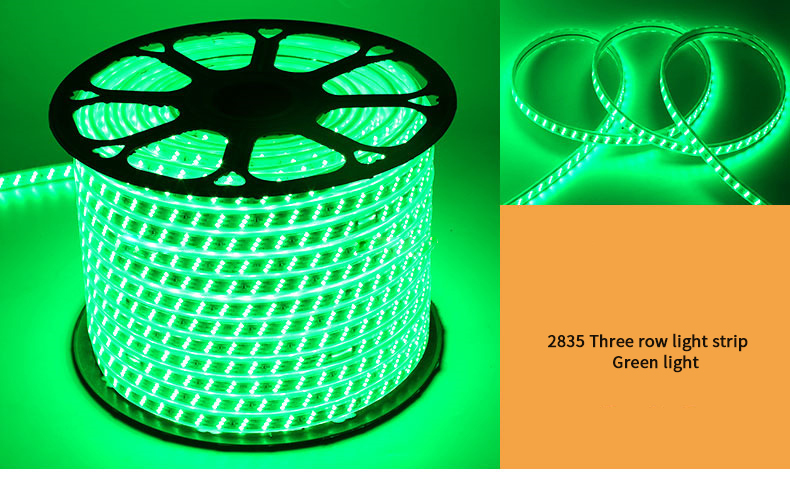 220V RGB 5050 Led Strip Flexible light Waterproof IP67 APP control Led Rope Light