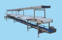 Segmentation Conveyor, Slaughtering Equipment