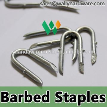 Fence Fixings / 40mm Barbed Staples