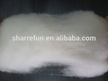 pure low price factory process dehaired mongolia cashmere fibres