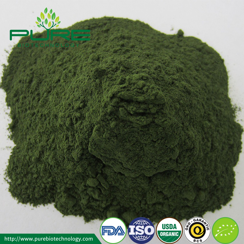 Polvo de Spirulina Verde Orgánico2 Organic Green Spirulina Powder2