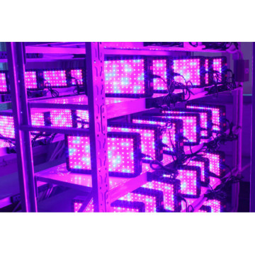 200W LED Grow Light para Microgreens de cultivo en interiores