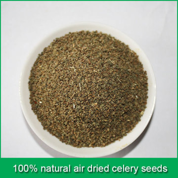 100% natural air dried celery seeds