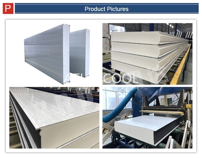 Cold Storage Insulated Wall Panels