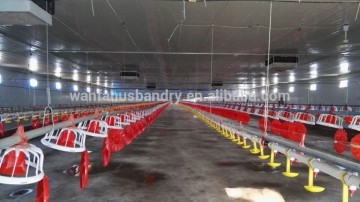 BC series Whole Poultry farming equipment for chicken house