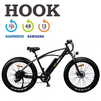 New Fat Tire Mountain Electric Bike with Motor 48V 500W