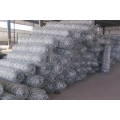 Fil vente chaud maille gabions