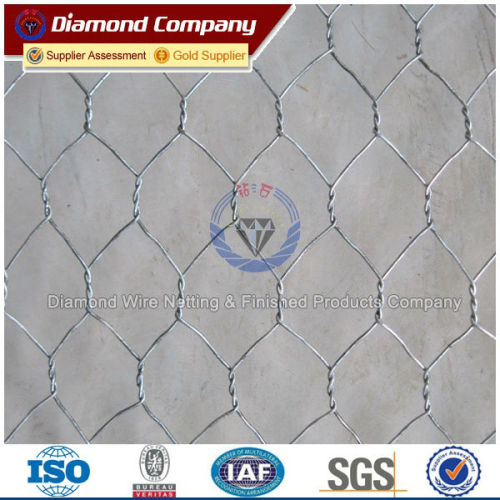 ASTM 975/641 Standard gabion geogrids with low price