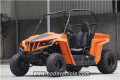 150CC UTV 최고 속도