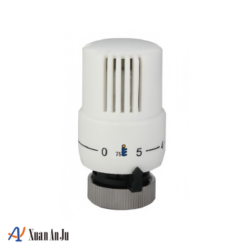 Digital Temperature Control Valve Head with Clear Display