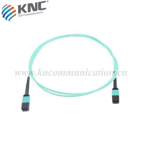 Amored MPO/MTP fiber patch cord cable