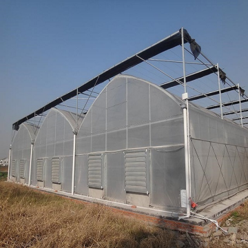 Multi-span agricultural hydroponics equipment greenhouses