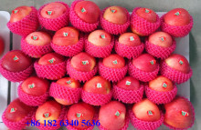 Gala Apple from High Mountain