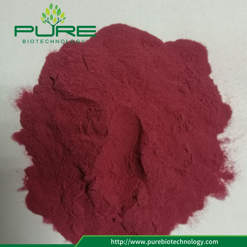 10: 1 التوت البري استخراج 10:1 cranberry extract