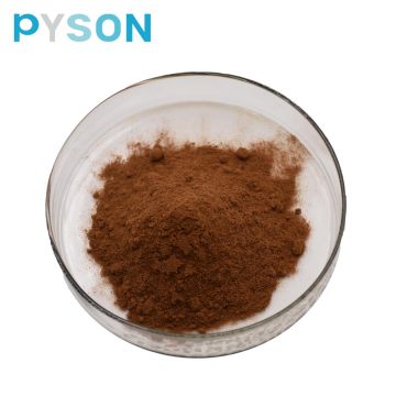 Extrait de Chaga Polysaccharides 50% UV