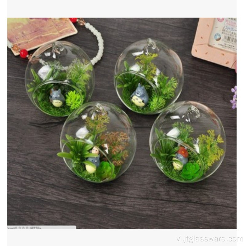 Bình thủy tinh trong suốt Treo thủy tinh Terrarium