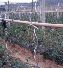 Tomato Stakes Galvanized Wire