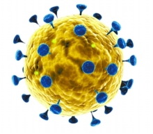 SMMS Nonwoven Machines for Protective Clothes