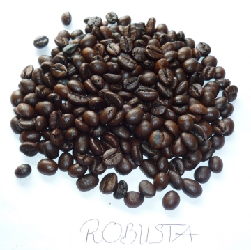 Roasted Robusta Coffee bean