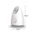 Deep Cleansing Hushåll Nano Facial Steamer