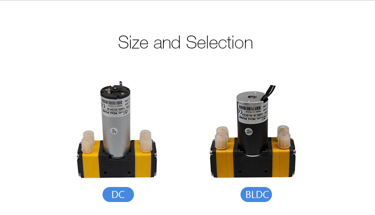 Great quality micro dual-head BLDC diaphragm pump air pump 12V with large flow-YW05-B-BLDC