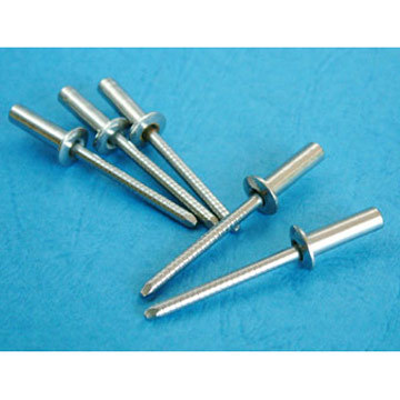 Sealed Type Stainless Steel Rivets