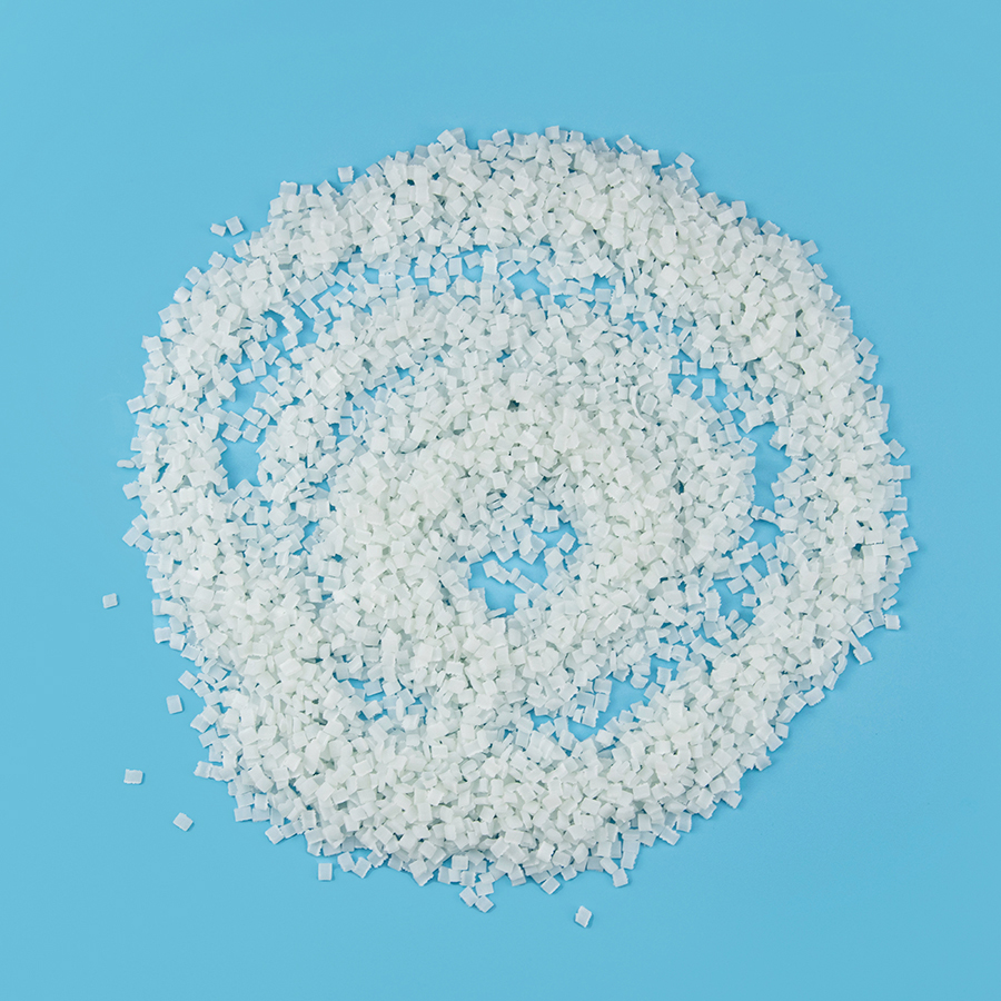 Nylon 6 Slice Raw Materials