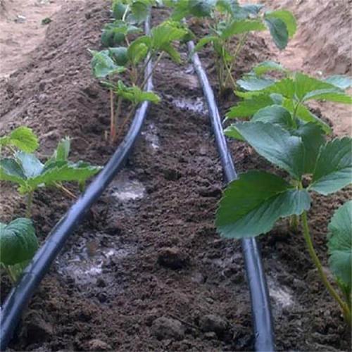 Ligne d&#39;irrigation émetteur de tuyaux goutte à goutte