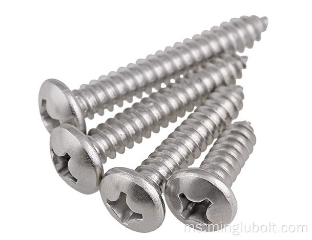 Minglu Stainless Steel Self Tapping